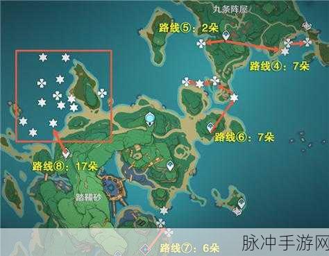 原神八重神子突破必备,海灵芝高效采集路线揭秘