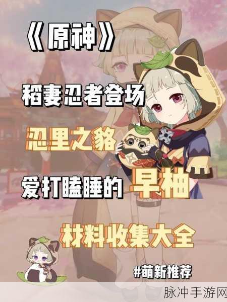 原神零命早柚全方位解析,圣遗物与武器搭配实战指南