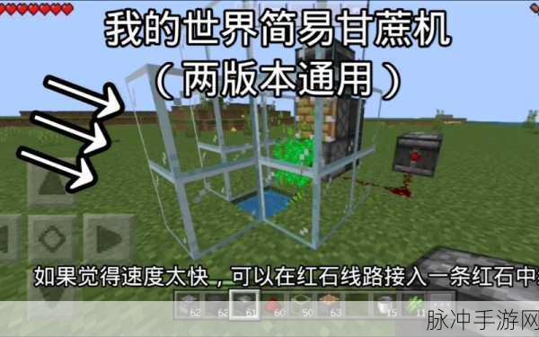 打造高效农场!我的世界可挂机式甘蔗机制作全攻略
