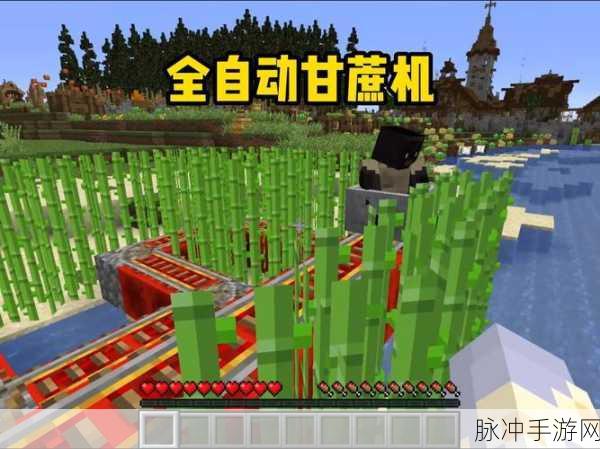 打造高效农场!我的世界可挂机式甘蔗机制作全攻略