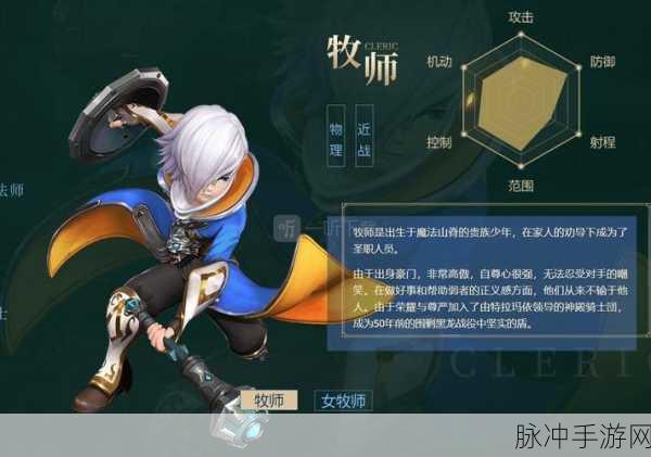 龙之谷2,职业属性深度剖析与玩法指南