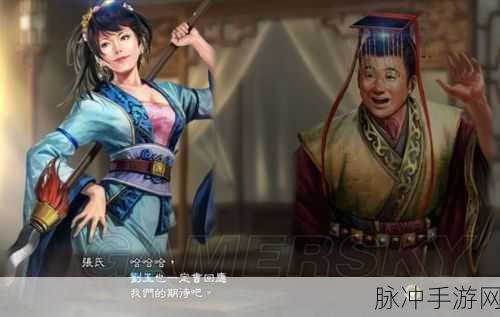 三国志13刘禅角色深度剖析,个人特色与最强战法探索