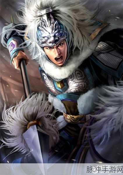 三国志13刘禅角色深度剖析,个人特色与最强战法探索