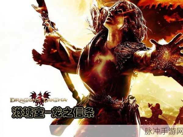 龙之信条黑暗崛起,蛇皮钱兜任务品寻觅之旅全攻略