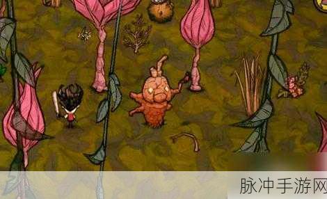 饥荒海滩,金币兑换金子的秘密通道