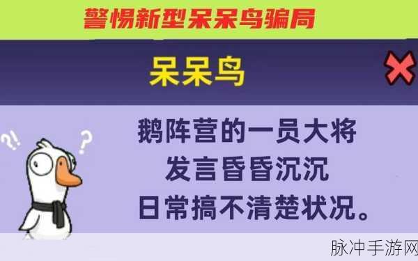 鹅鸭杀决斗模式揭秘,呆呆鸟能否知晓另一位同类身份?