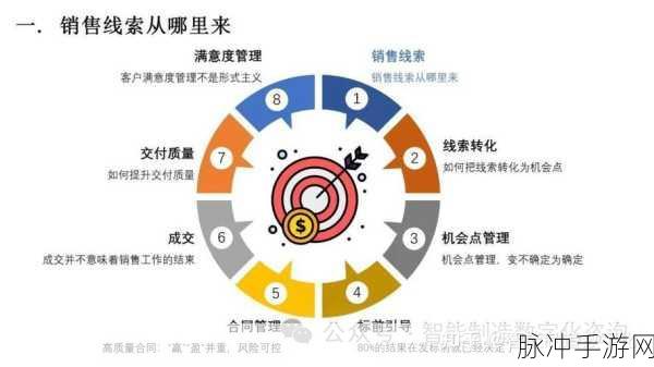华为LTC流程揭秘,手游玩家视角下的销售转化秘籍