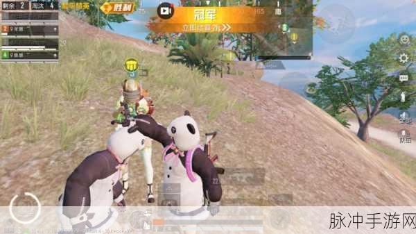 功夫熊猫精英副本挑战升级,蛤蟆玄仙全攻略解析