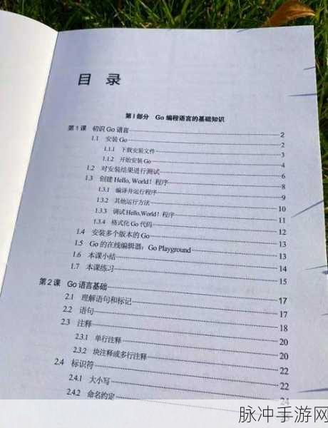 Go语言编程库,手游开发者的高效秘籍