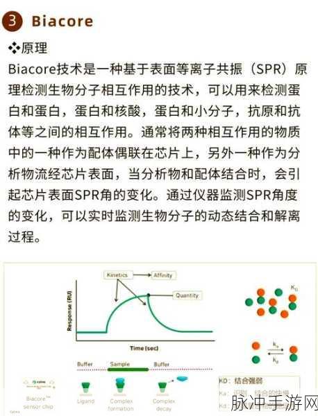 探索生物奥秘,VPLG可视化揭秘蛋白质结构新视角