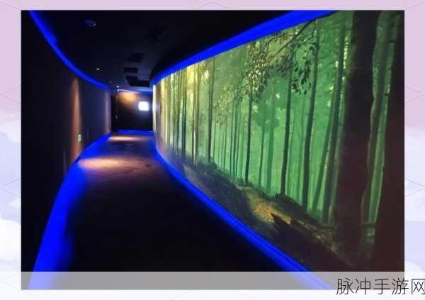 ProjectM探秘,C语言打造的跨平台音效视觉盛宴