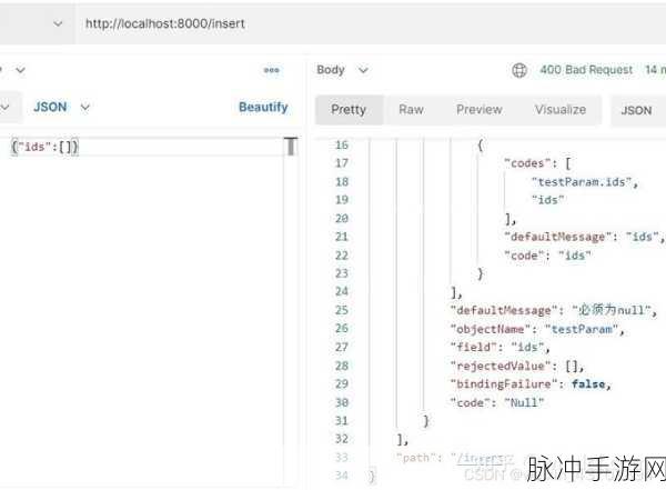 SpringBoot Validation注解,打造极致手游体验的秘密武器