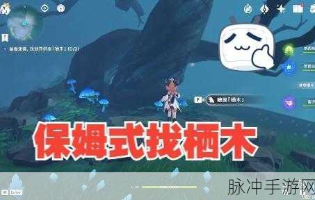 原神供奉栖木全攻略，解锁迷雾，探寻宝藏