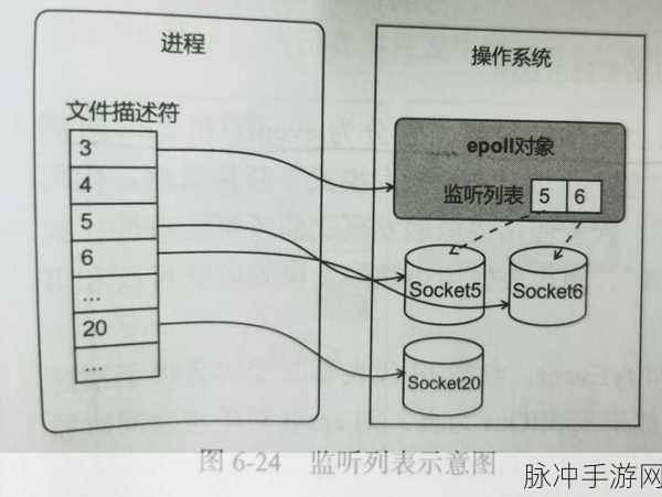Lua编程中的epoll模块,高效网络服务的秘密武器