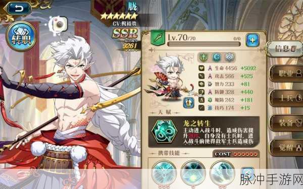 梦幻模拟战，全面解析13种附魔套装属性，助你精准选择