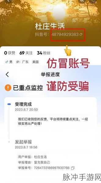 抖音副总裁李亮重拳出击,海外IP仿冒账号遭严打