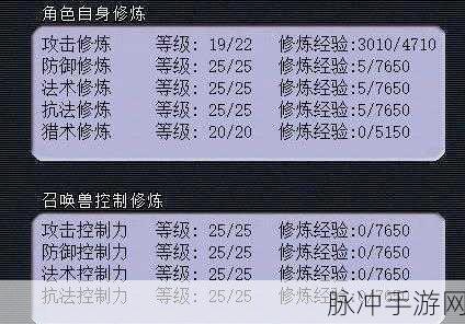 梦幻西游175级固伤阵容深度解析与玩法指南
