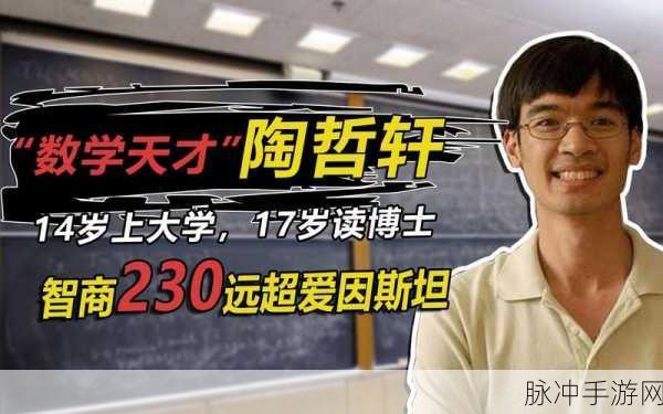 陶哲轩论文被拒,数学天才的学术打怪升级路