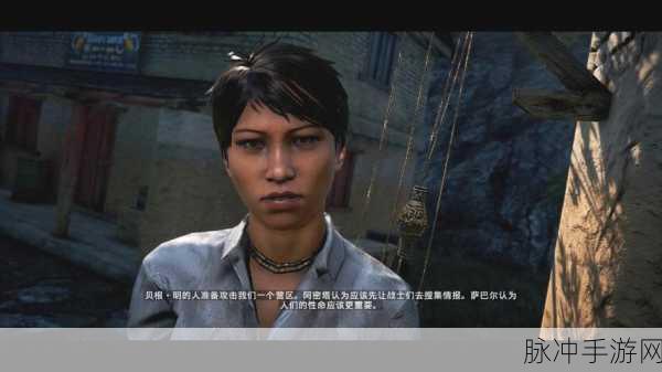 孤岛惊魂4首个关卡崩溃?资深玩家教你如何解决!