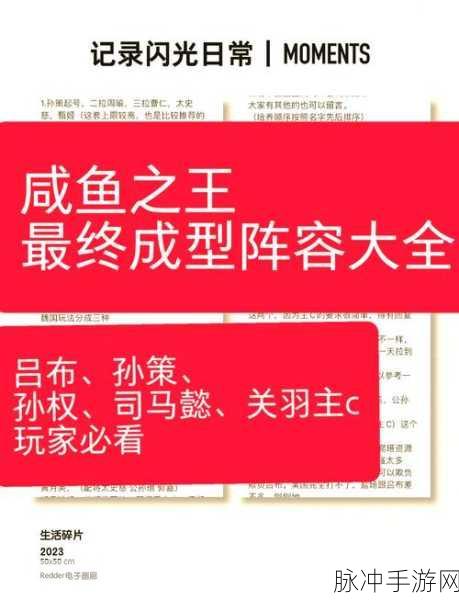 咸鱼之王6900关通关秘籍,策略与阵容双管齐下