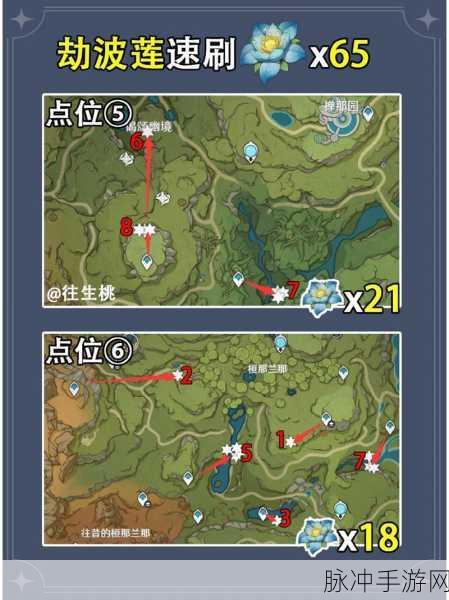 原神劫波莲采集路线速刷指南,轻松获取珍贵材料