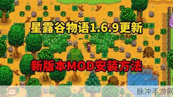 星露谷物语,解锁高清视界,分辨率调整全攻略