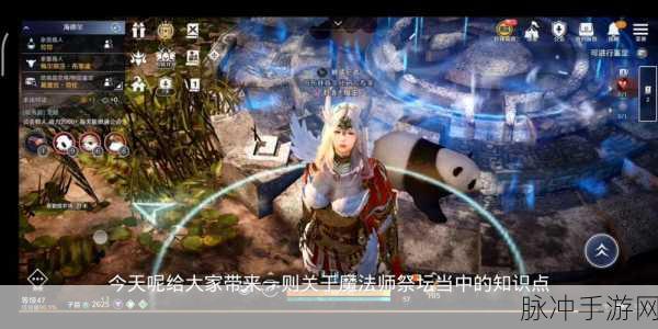黑色沙漠手游,大沙漠任务全攻略,助你征服浩瀚沙海