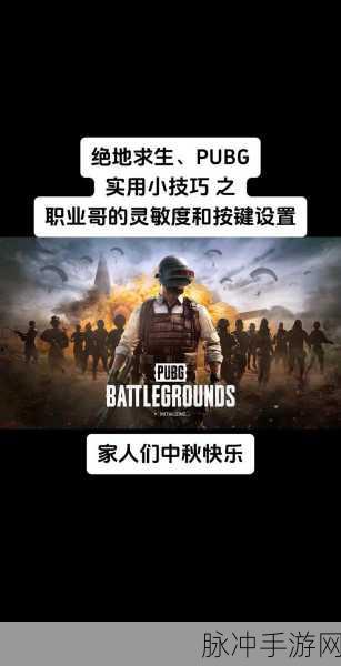 绝地求生刺激战场,解锁高效队友沟通秘籍