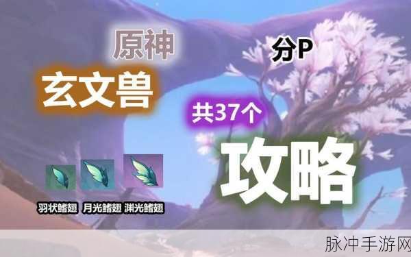 原神渊光鳍翅速刷路线全揭秘