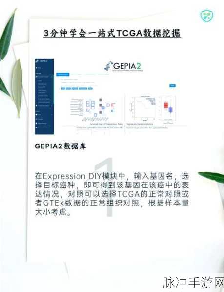 OData PHP 开发包,解锁手游数据交互新境界的实践秘籍