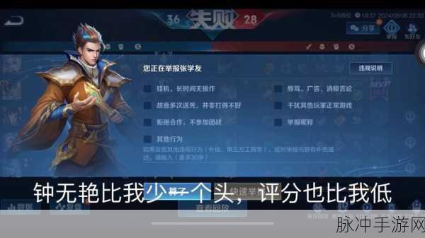 王者荣耀举报攻略,精准选择,让不良行为无处遁形