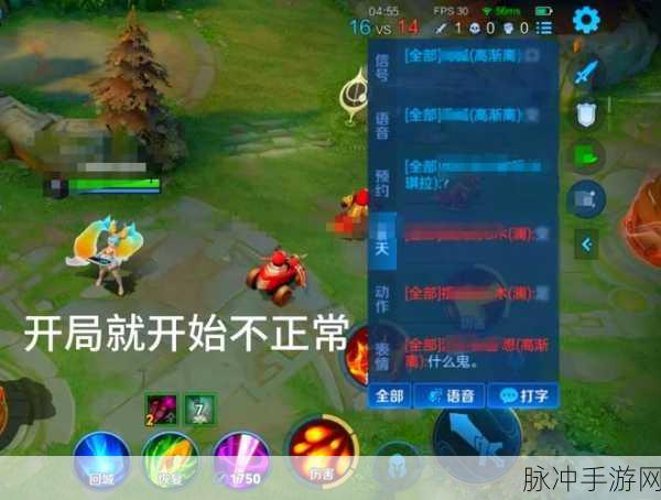 王者荣耀举报攻略,精准选择,让不良行为无处遁形