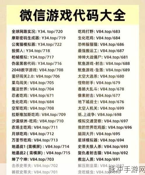 编程秘籍,清晰语言如何助你畅游手游世界?