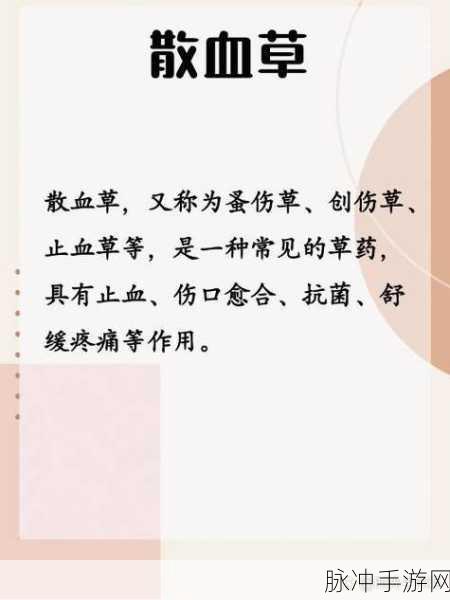 仙剑奇侠传6,战斗补给品之王止血草的传奇揭秘
