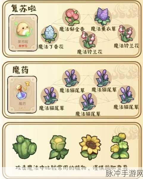 奥比岛花精灵深度养成攻略,解锁全图鉴的秘诀