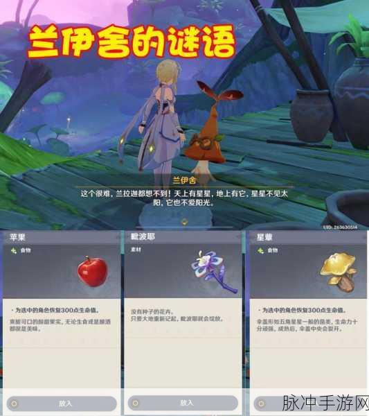 原神兰伊舍第三个谜语，一场智慧与探索的盛宴