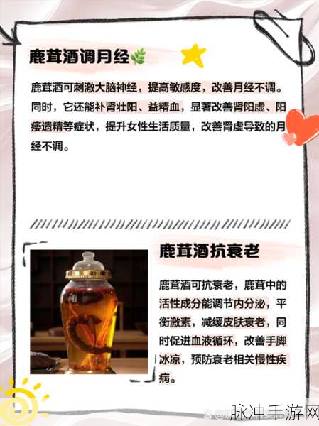 烟雨江湖鹿茸获取秘籍,药店难寻,捕猎有方