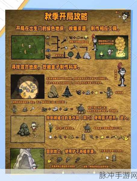 饥荒海滩金子获取全攻略,解锁生存新篇章