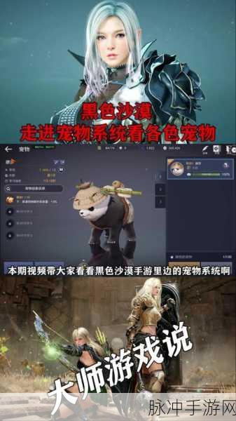 黑色沙漠手游宠物升级全攻略