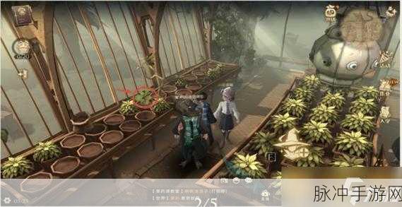 哈利波特魔法觉醒,拼图寻宝第六天全攻略