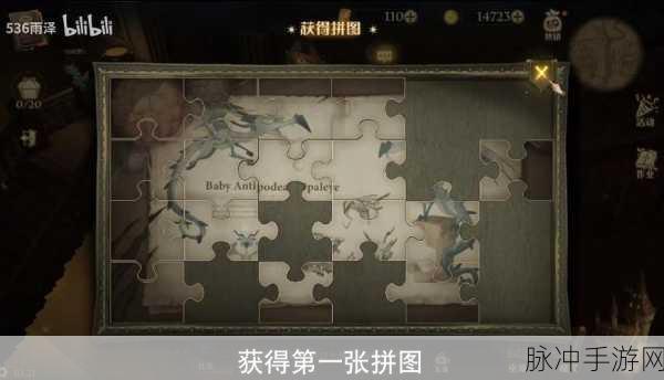 哈利波特魔法觉醒,拼图寻宝第六天全攻略