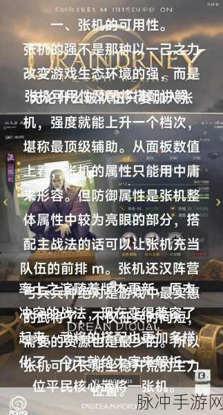 张机领航,战无不胜!率土之滨张机最强组合深度剖析