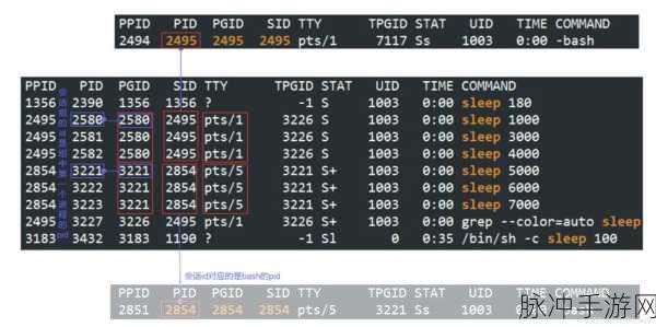 Linux网络编程揭秘,手游玩家眼中的套接字魔法
