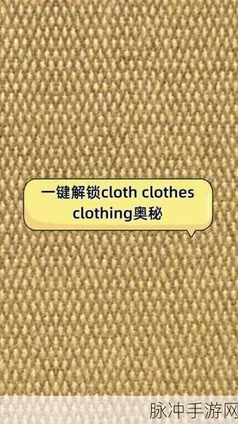 PlainClothes扩展程序,解锁你的网页个性化游戏视界