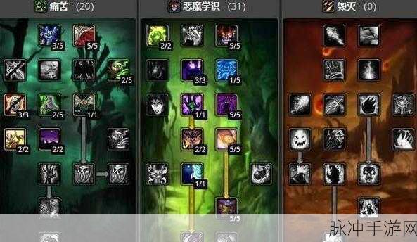 魔兽世界80级术士,专业玩家的深度指南