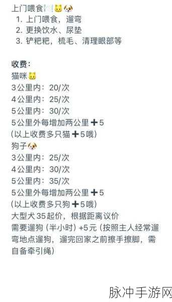 萤火突击宠物喂食全攻略,让你的小伙伴活力满满