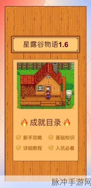 星露谷物语深度探索,物品栏扩容与管理秘籍