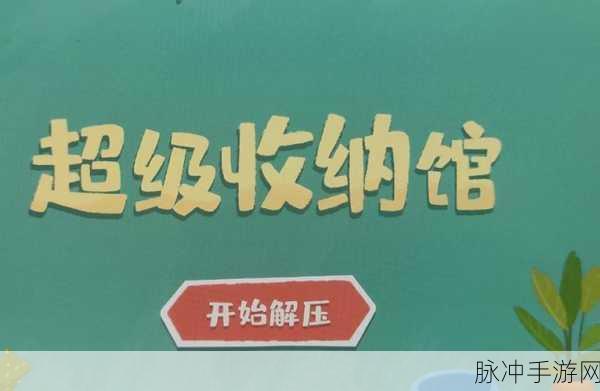 超级收纳馆第38关通关秘籍,解锁真掘掘子的收纳智慧