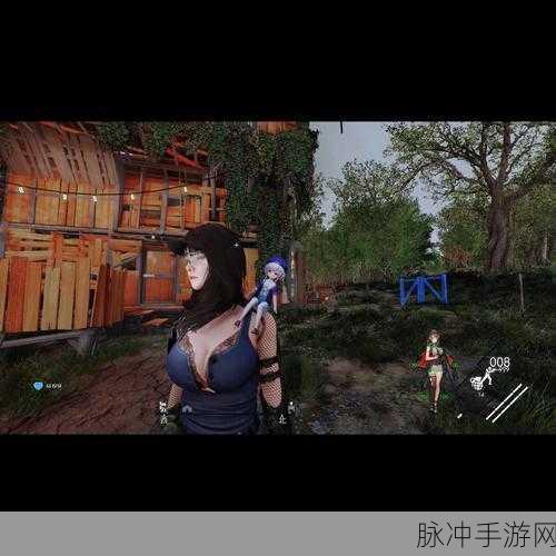 辐射4背包扩容秘籍,打造你的废土储物大师