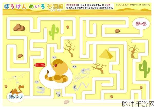 红蓝点的逻辑迷宫,揭秘简单背后的智慧密码